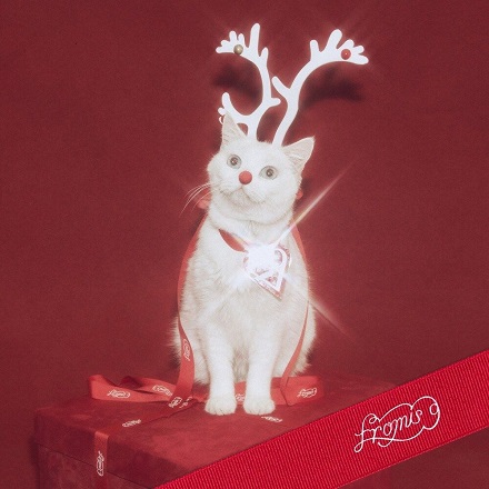 하얀 그리움 (White Memories)