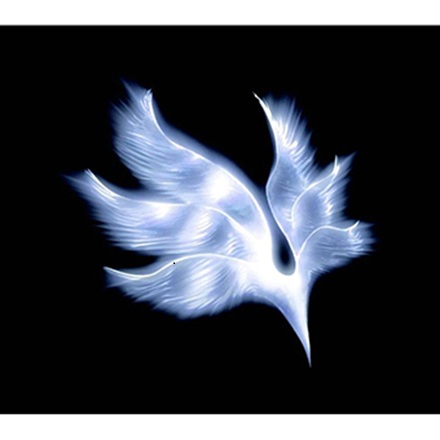 プラネタリウム _ Planetarium