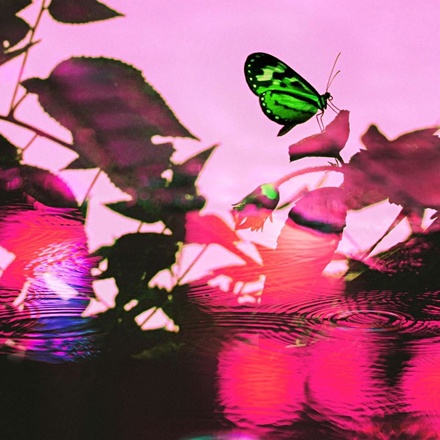 Better (Feat. 쿠기)